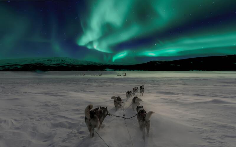 Dogsled ride under the Northern Lights